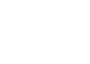 The ASH Company